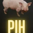 Pih cover art