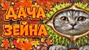 Discovery splash banner for 🍁〡Дача Зейна〡🍂 Discord server