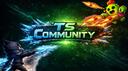 Discovery splash banner for TS Community Brawl Discord server