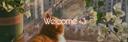 Discovery splash banner for . ♡ . ✨ Royalty . 🦋 . | . Chill . Pfps . Games . Hangout . Friends . Events . . Discord server