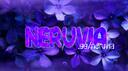 Discovery splash banner for 🌸 Neruvia ネルビア Discord server