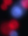 Discovery splash banner for PicoVR Discord server
