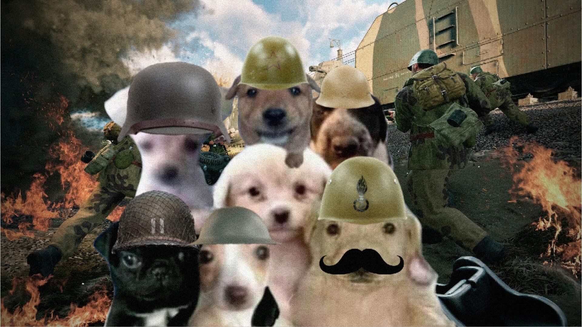 Discovery splash banner for Enlisted - Español Discord server