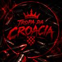 Discovery splash banner for TROPA DA CROACIA #MelhorFacDaFluxo Discord server
