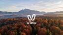 Discovery splash banner for Vidu AI Discord server