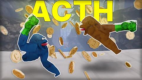 Discovery splash banner for Animal Company Tournament Hub Discord server