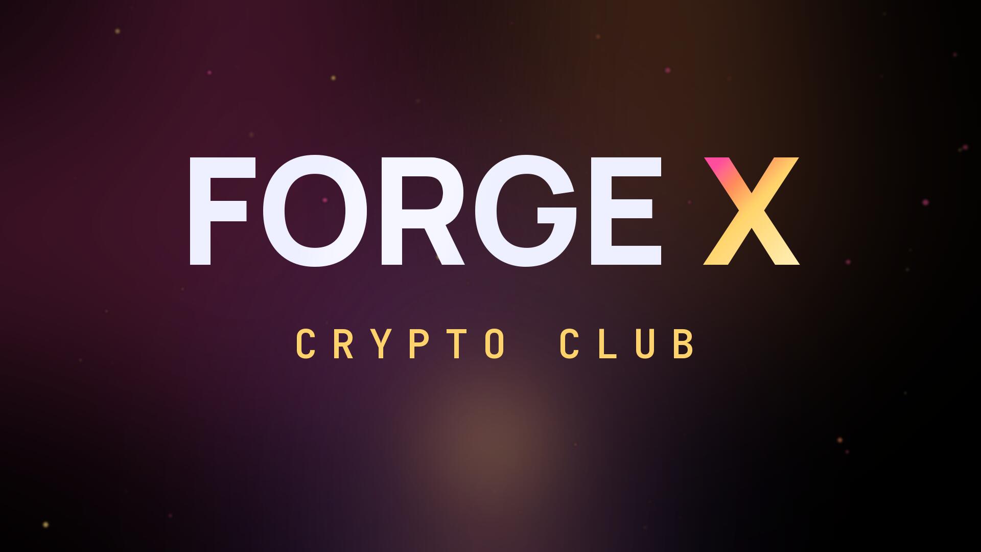 Discovery splash banner for Forge X Discord server