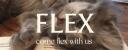 Discovery splash banner for Flex™| Indian・Hindi・Indian・Chill・Pfps・Non-Dating Discord server