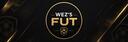 Discovery splash banner for Wez's FUT Discord server