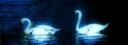 Discovery splash banner for Cozy Hub Discord server