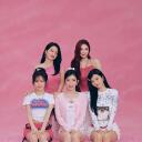 Discovery splash banner for Red Velvet | Irene & Seulgi 'Cheetah' Discord server