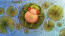 Discovery splash banner for KUHALE 🍀🐸 | Art Community ✤ Art Commissions ✤ Buy Art ✤ Art Trades ✤ Events ✤ Games Discord server