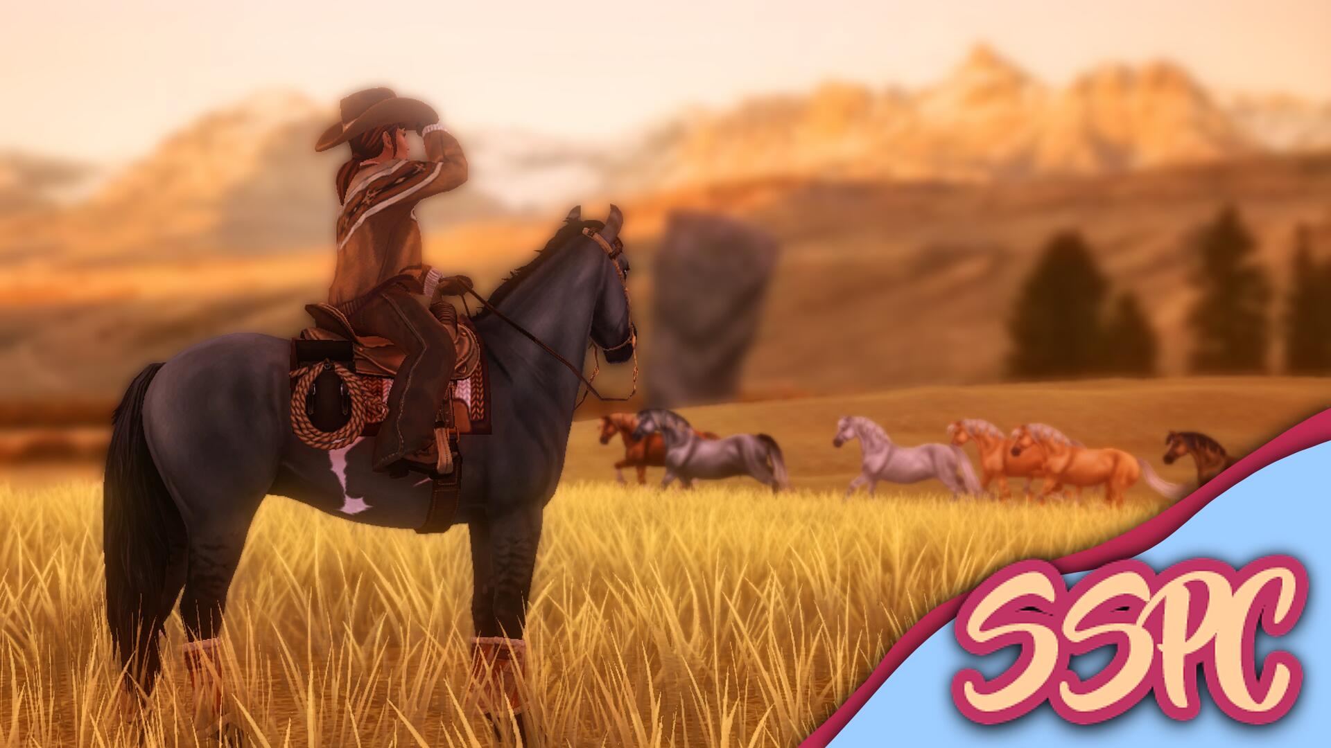 Discovery splash banner for Star Stable Photography Center Discord server