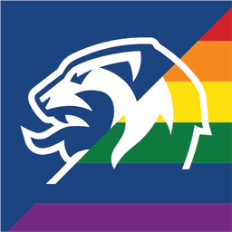 Discovery icon for Norsk Fotball Discord server