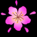 Discovery icon for 𝙏𝘼𝙊 • SQD-COMMUNITY Discord server