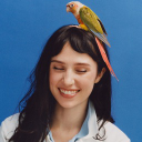Discovery icon for Clairo Cord Discord server