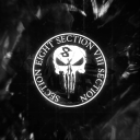 Discovery icon for S6E2C9T4I7O3N8 Discord server