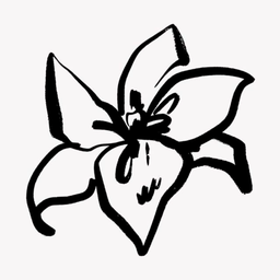 Discovery icon for Whimsical Studio - Roblox Studio #7K Discord server