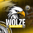 Discovery icon for ORG WOLZE 2 - AUTO Discord server