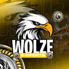 Discovery icon for ORG WOLZE 2 - AUTO Discord server