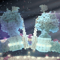 Discovery icon for BiochemCord Discord server