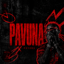 Discovery icon for Pavuna Community #2k Discord server