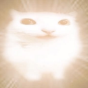 Discovery icon for Starred mods Discord server