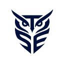 Discovery icon for TEAM SILENT ESPORTS Discord server