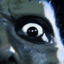 Discovery icon for IVNCBL LOUNGE Discord server