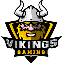 Discovery icon for VIKING GAMING Discord server